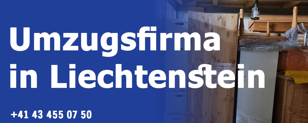 UMZUGSFİRMA LİECHTENSTEİN