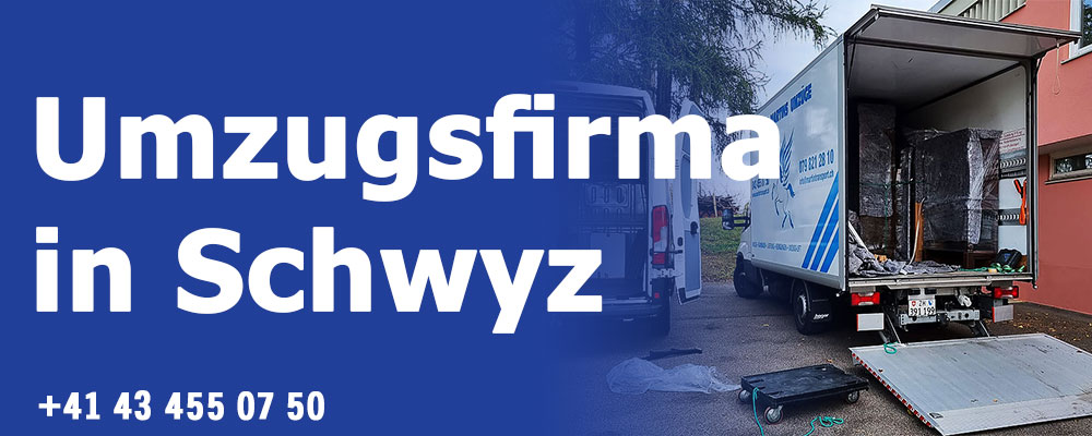 UMZUGSFİRMA SCHWYZ